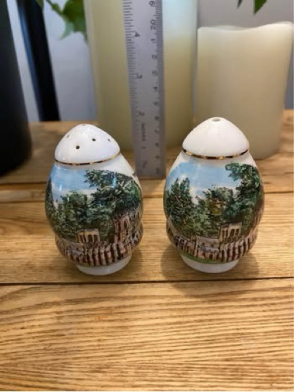 Vintage Woodleigh Replicas PEI York Minster Salt & Pepper Shakers Gold Trim